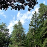 1208F 004 Brigachtal